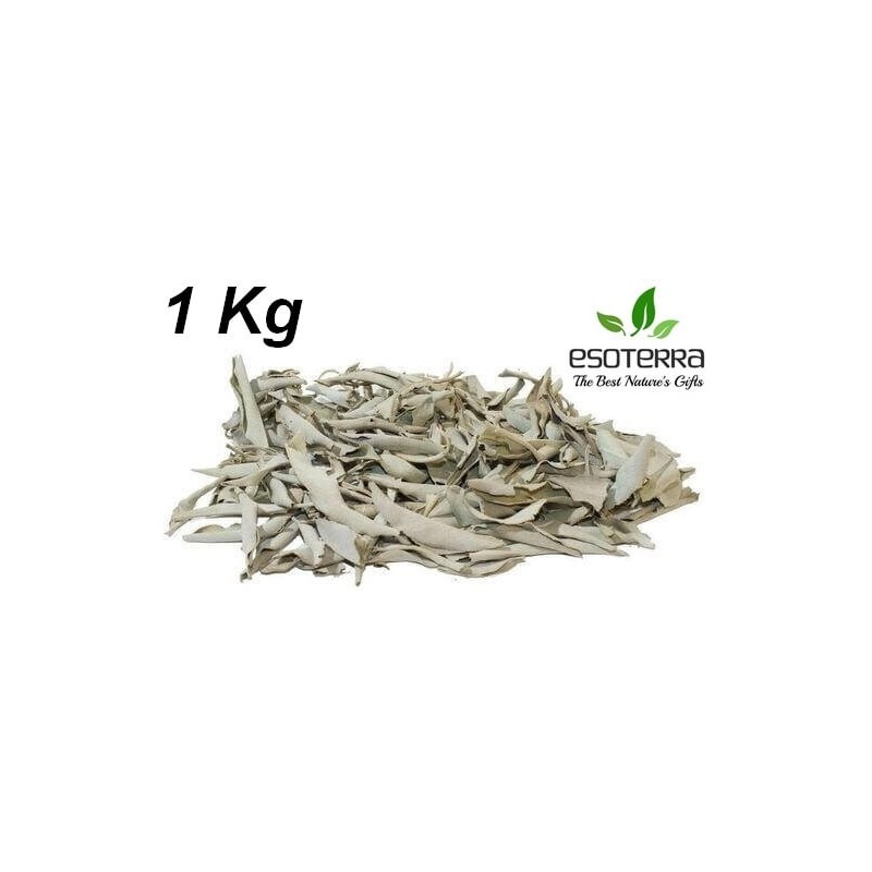 Sauge Blanche Californie ESOTERRA Feuilles 100g