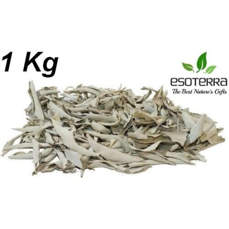 Sauge Blanche Californie ESOTERRA Feuilles 100g