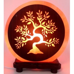 Lampe de Sel Himalaya Arbre de Vie 5KG