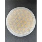 Plaque Sélénite Fleur de Vie Dorée – Purification & Rechargement Énergétique