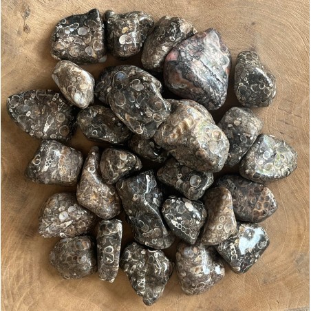 Pierre Roulée en Agate Turitelle