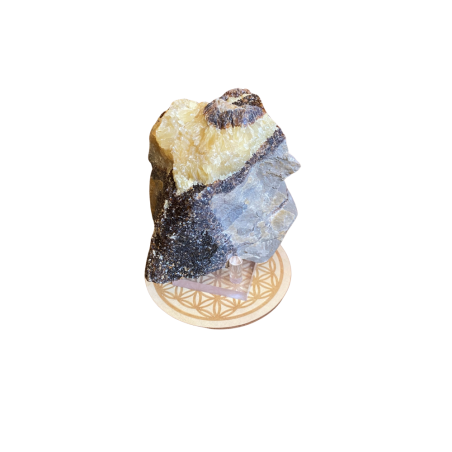 Septaria Brute – Pièce Unique