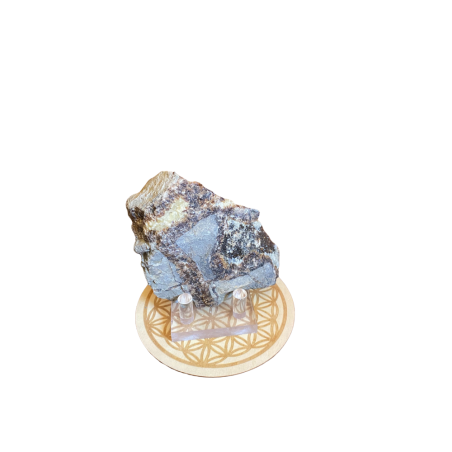 Septaria Brute – Pièce Unique