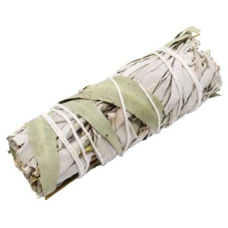 Fagot Sauge Blanche & Eucalyptus – Purification & Vitalité Respiratoire