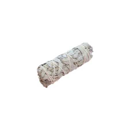 Fagot Sauge Blanche Apiana – Purification Énergétique Traditionnelle
