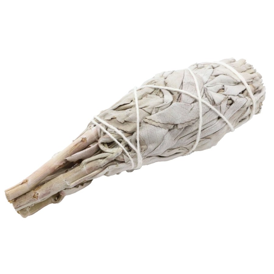Torche Sauge Blanche Californie 10–11 cm – env. 20 à 30 g – purification énergétique traditionnelle
