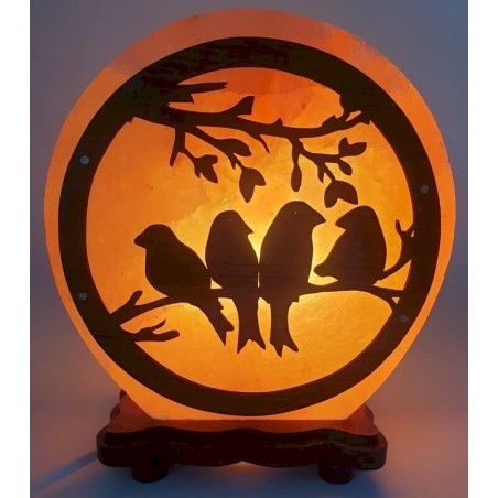 Lampe de Sel Oiseaux 5KG