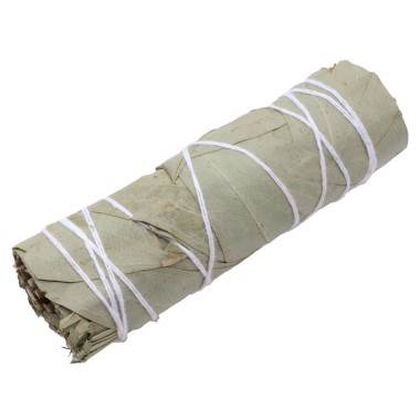 Fagot d’Eucalyptus – Purification Respiratoire & Énergie Positive