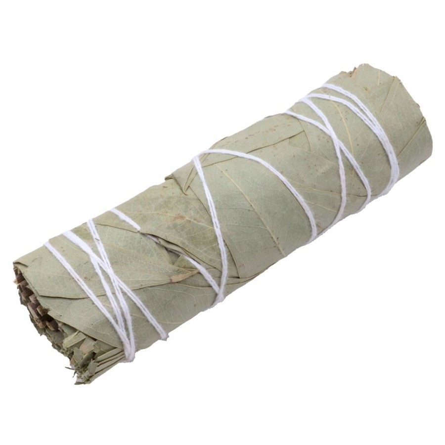 Fagot d’Eucalyptus – Purification Respiratoire & Énergie Positive Fagot d’Eucalyptus – Purification Respiratoire & Énergie Positive