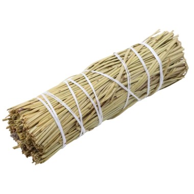 Fagot de Pin – Énergie Positive & Purification Forestière