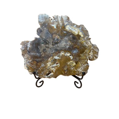 Tranche de bois fossile de Madagascar 838 g avec support – Spiritual-Deity