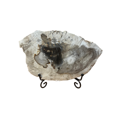 Tranche de bois fossile de Madagascar 1150 g avec support – Spiritual-Deity