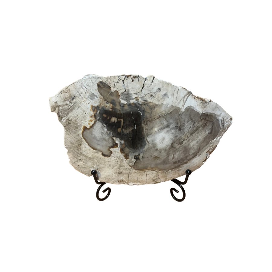 Tranche de bois fossile de Madagascar 1150 g avec support – Spiritual-Deity Tranche de bois fossile de Madagascar 1150 g avec support – Spiritual-Deity