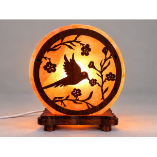 Lampe de sel Colibri 5 kg | Socle bois | Spiritual Deity