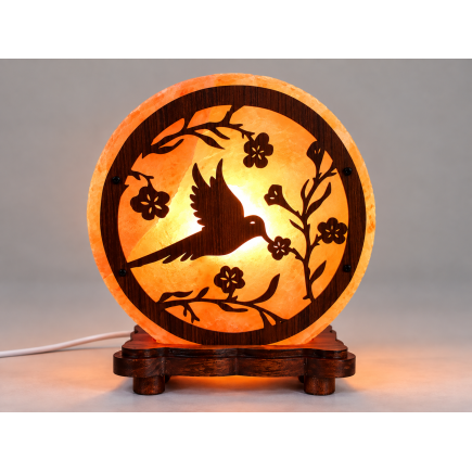 Lampe de sel Colibri 5 kg | Socle bois | Spiritual Deity
