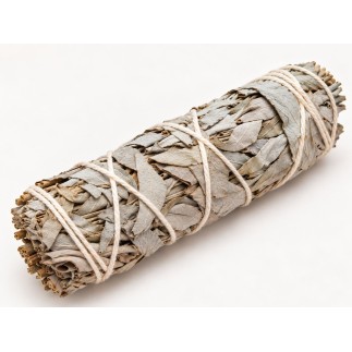 Fagot de sauge blanche 10 cm – 30 à 35 g