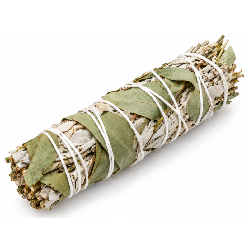 Fagot Sauge Blanche & Eucalyptus – fumigation végétale au parfum frais et aromatique