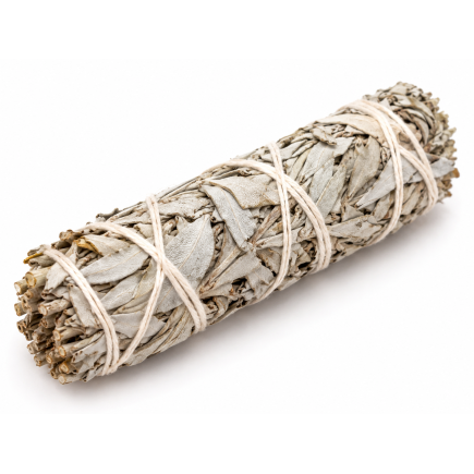 Fagot de sauge blanche Salvia apiana | Spiritual Deity