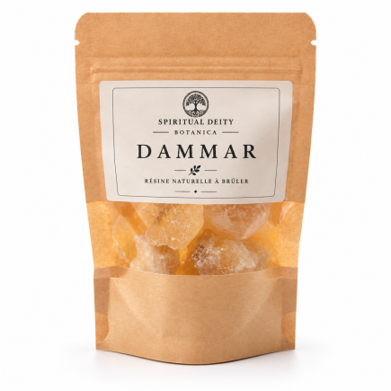 Dammar 40 g – Résine naturelle | Spiritual Deity