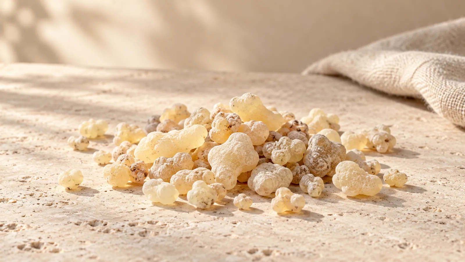 Grains de résine aux teintes ivoire et jaune pâle sur une pierre claire, éclairés par une lumière naturelle.