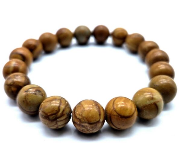 Bracelet Bois Fossile perles 10mm