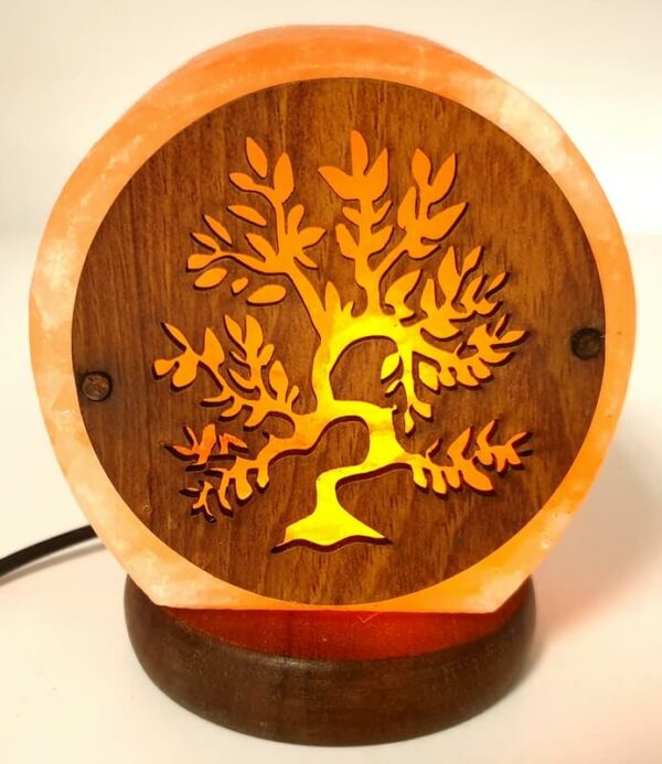 Lampe de Sel USB Arbre de Vie 1KG